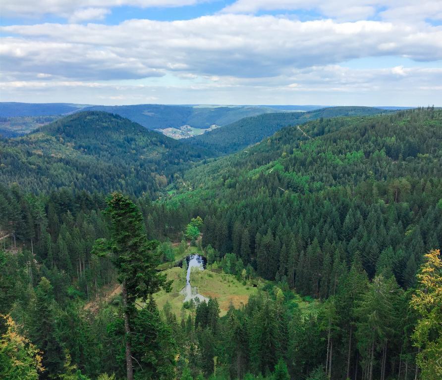 Kraehenbad Hotel Alpirsbach
