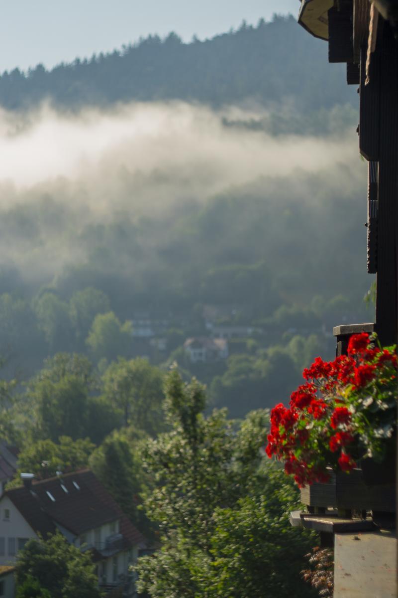 Kraehenbad Hotel 3*